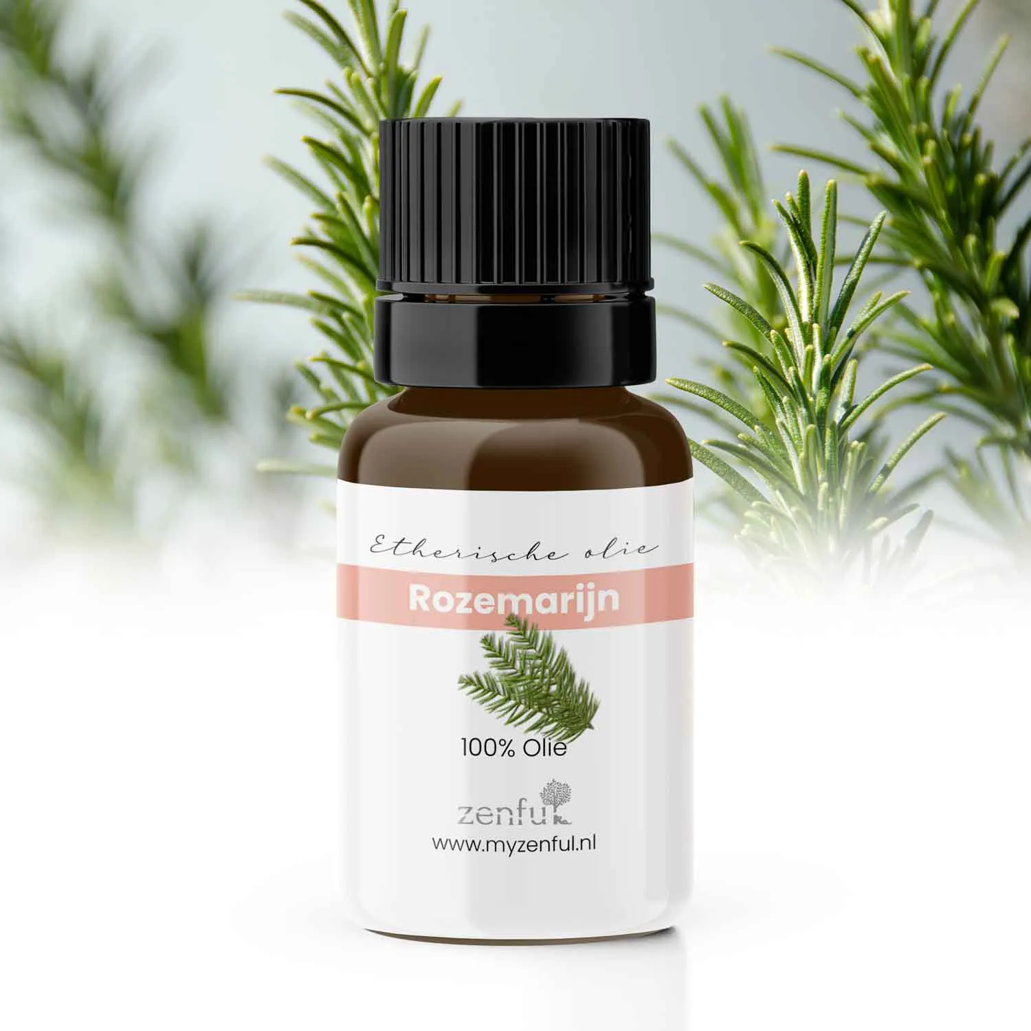 Rozemarijn etherische olie 10ml