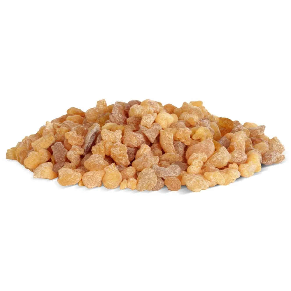 Frankincense Boswellia carterii