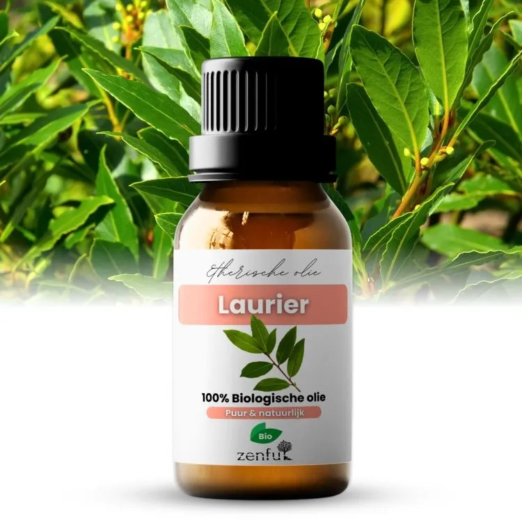 Laurierolie puur biologisch laurier blad