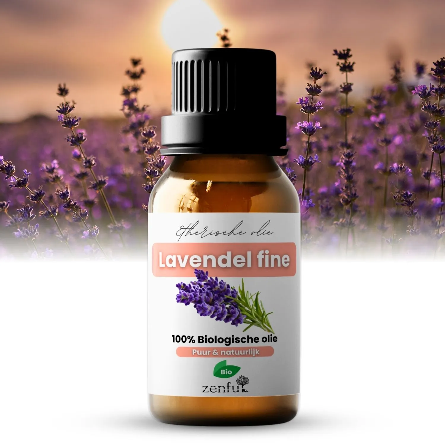 Lavendel fine Frankrijk etherische olie biologisch 5 ml