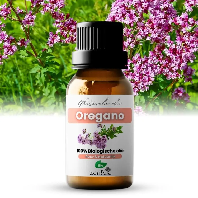 Oregano olie biologische etherische olie