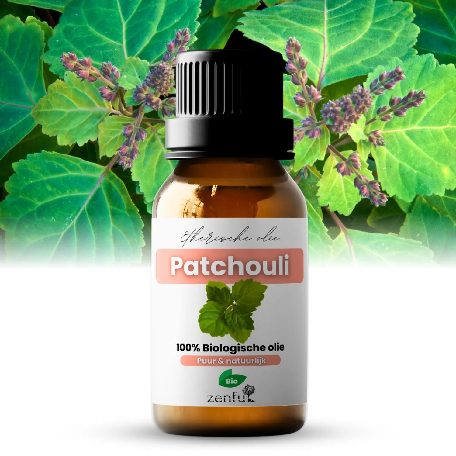 Patchouli (Patchoeli) olie etherische biologisch 5 ml
