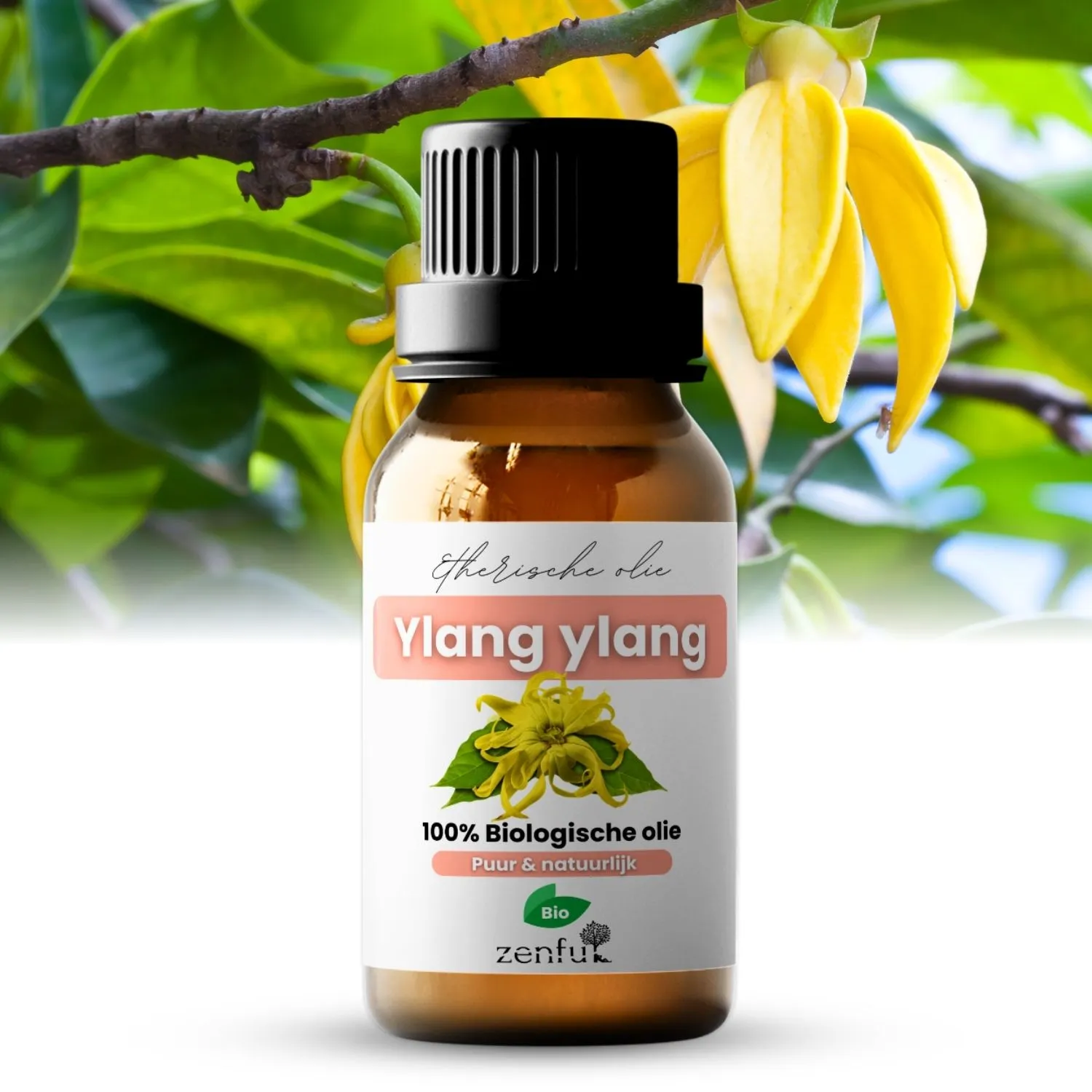 Ylang Ylang olie biologisch 10 ml