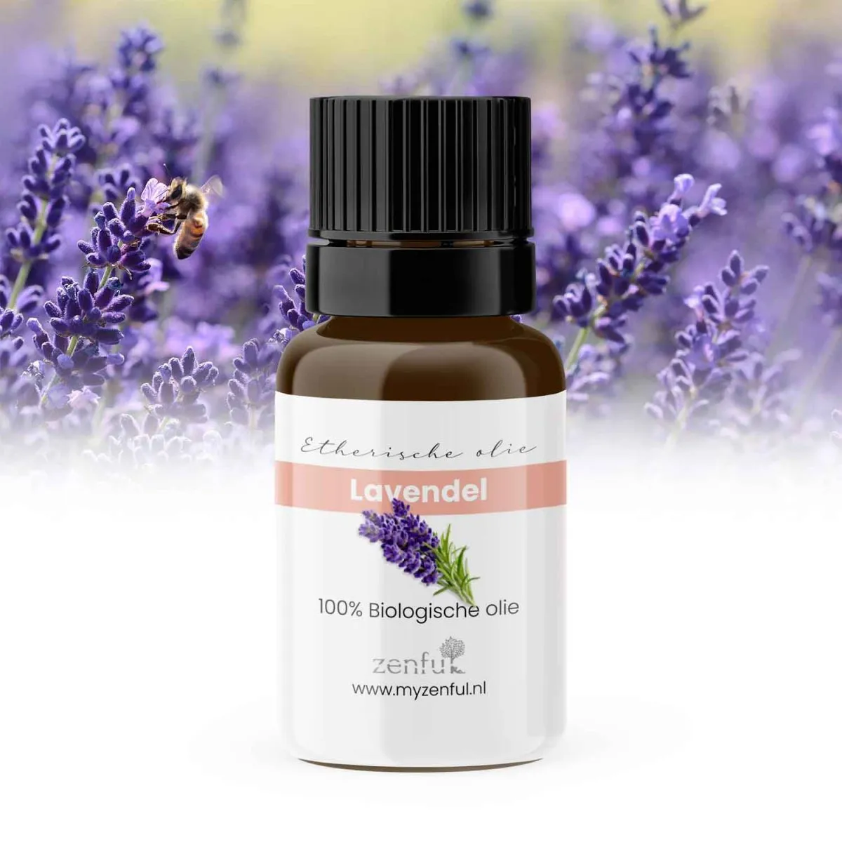 Image of Lavendel echte Bulgarije etherische olie biologisch 10 ml