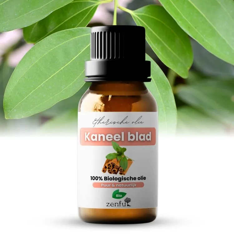 Kaneel blad etherische olie biologisch puur