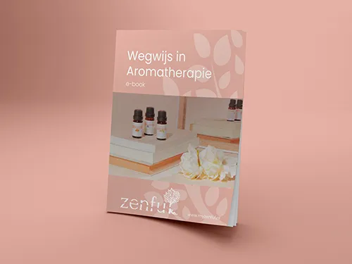 E-book-wegwijs-in-aromatherapie