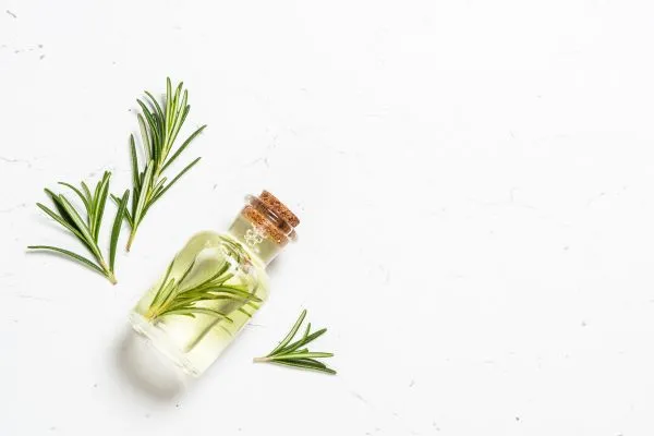 Flesje met rozemarijn erin en plant