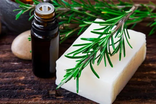 Rosemary oil bottle plant and soap