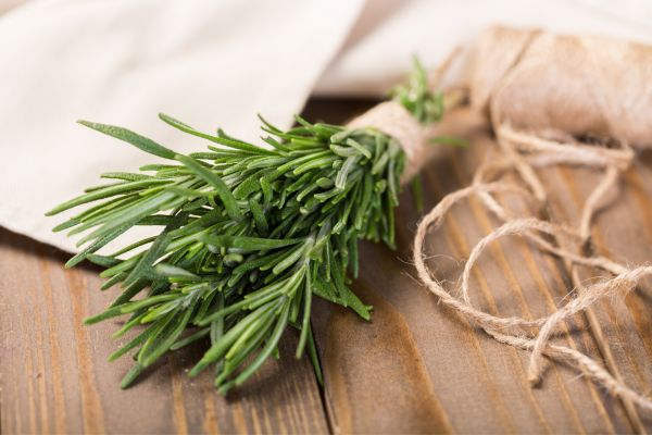 Rosmarinus Officinalis Rosemary
