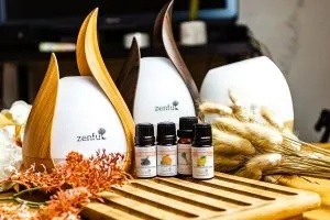 Interieurparfum Zenful