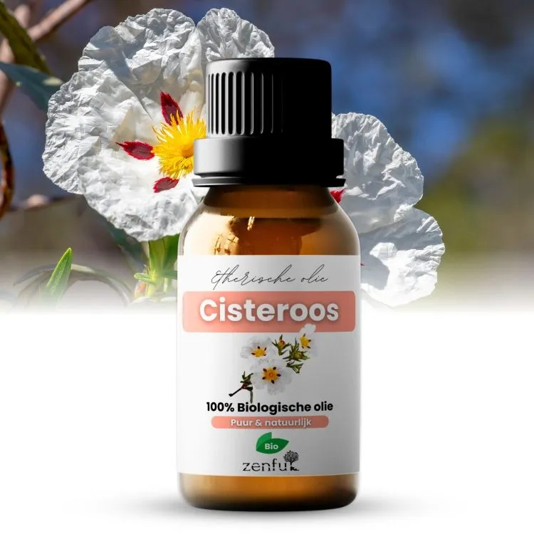 Cisteroos zonneroos cistus biologische etherische olie