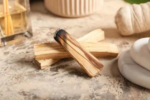 Palo Santo: Het Heilige Hout met Spirituele Kracht