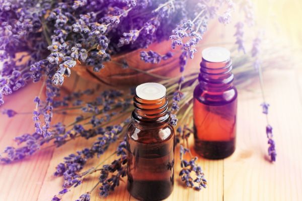 Lavendel voor rust olie en plant