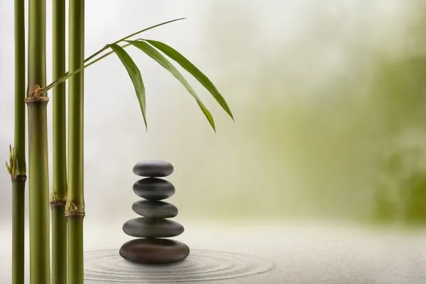 essentie steen plant elementen