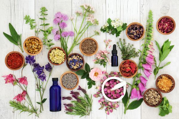 Alle soorten om olie te maken voor gezondheid