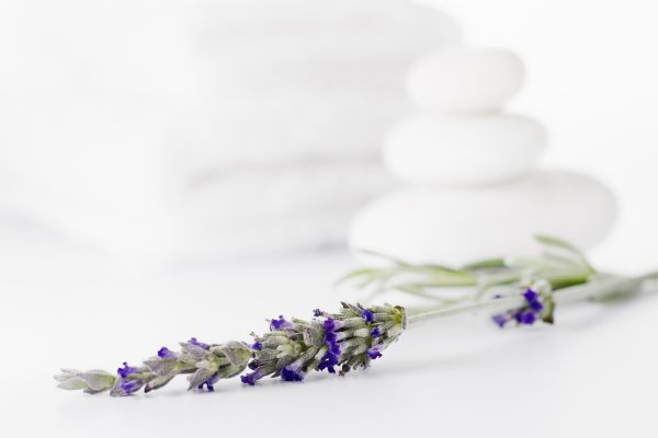 Relax lavender zen