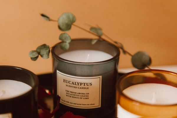 Scented candle eucalyptus