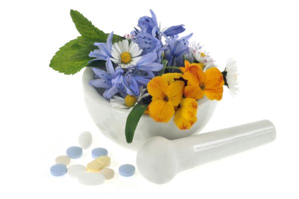basis van fythotherapie