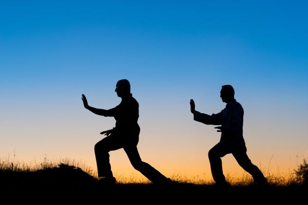 Kracht van het leven twee mannen die kung fu