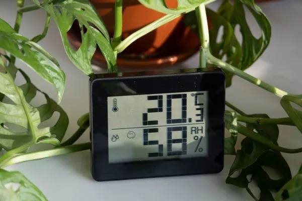 Luchtvochtigheid meter voor gezonde vochtigheid met planten