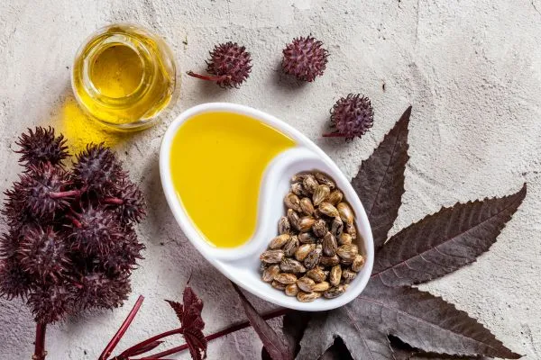 Zaden van ricinus wonderolie en koudgeperste olie met zwarte plant