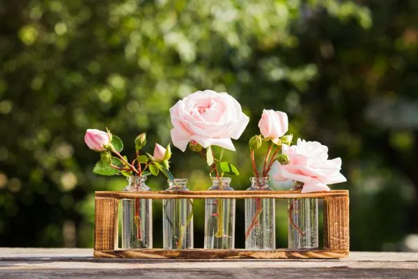 Bloemen in vaas die geuren verspreiden