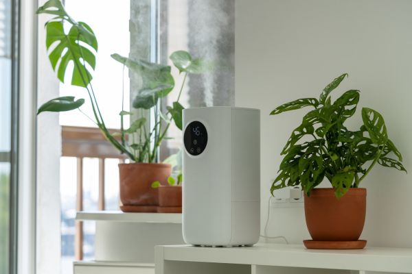 Planten op tafel in woonkamer en een appraat voor goede luchtvochtigheid
