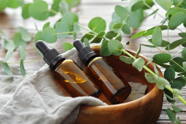 Mandje met eucalyptus olie in bruine fles omringd met eucalyptusplant