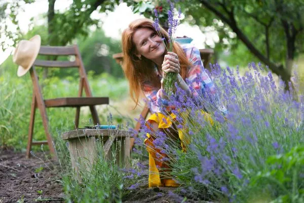Vrouw blij met het snoeien van lavendel planten glimlach