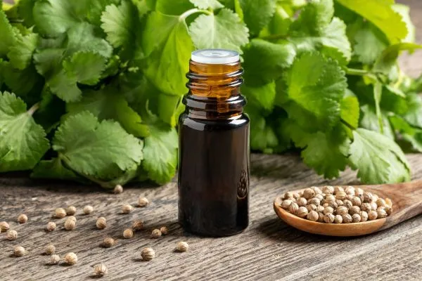 Zaden essentiele olie fles en de plant van wat het is gemaakt