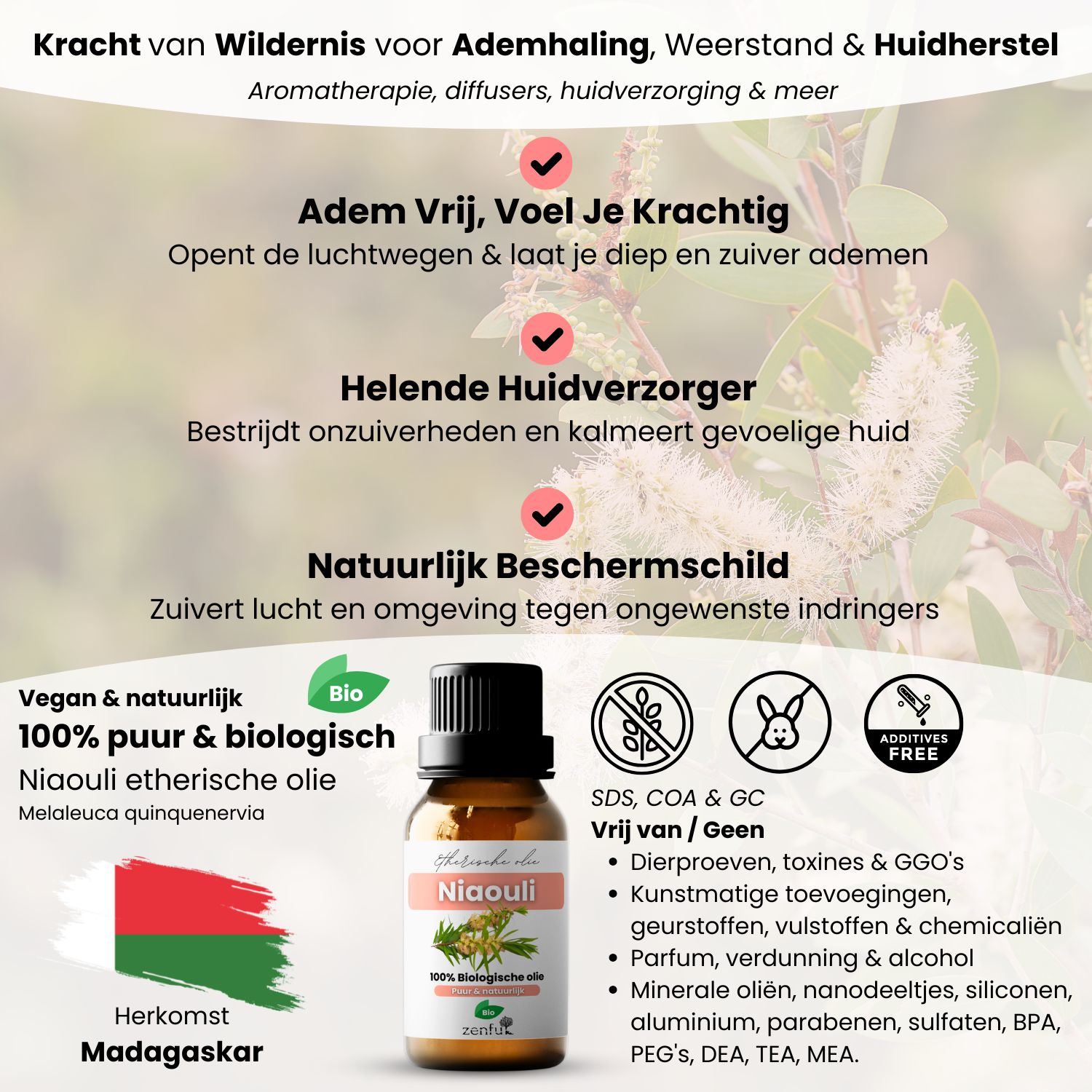 Niaouli olie biologisch - Afbeelding 3