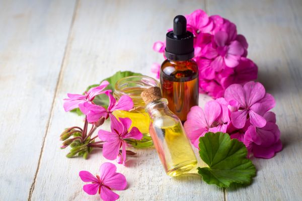 Geranium etherische olie met plant en bloem in flesje