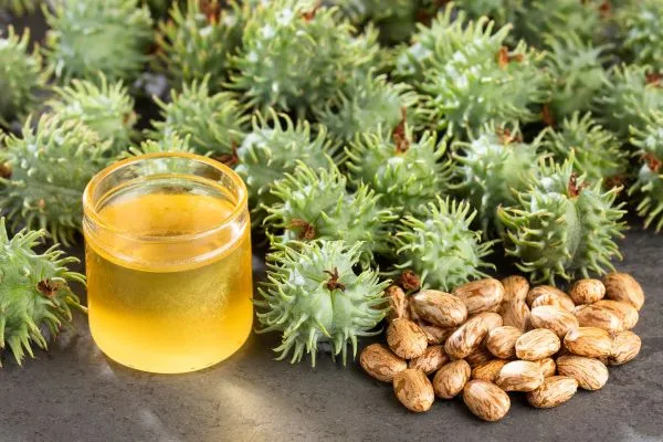 Top 10 castorolie wonderolei voor haar huid en gezondheid welke is goed