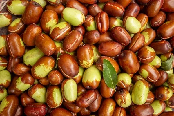 Top 5 wat is jojoba olie