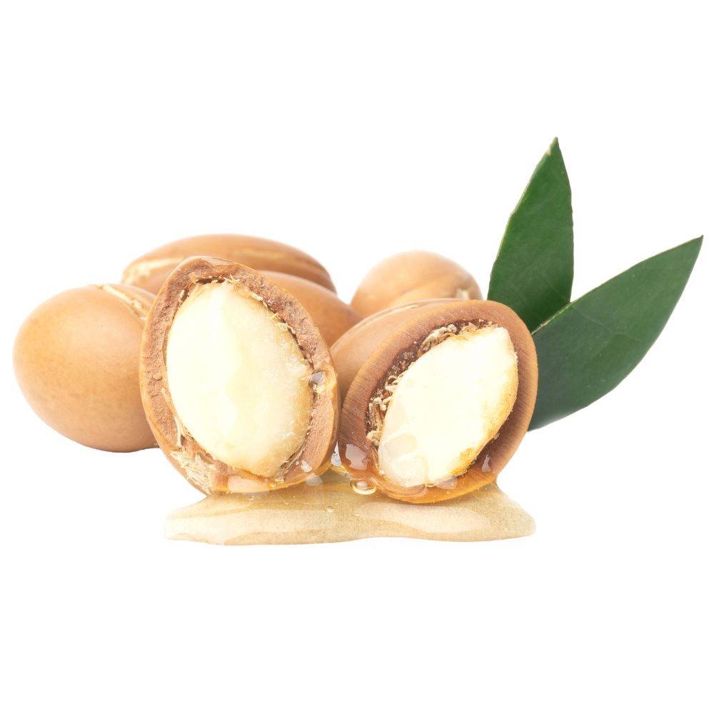 Argan argania spinosa kernel
