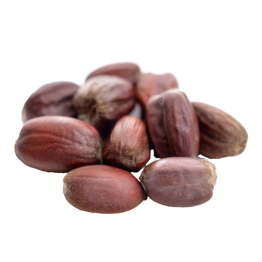 Jojoba Simmondsia Chinensis Seed