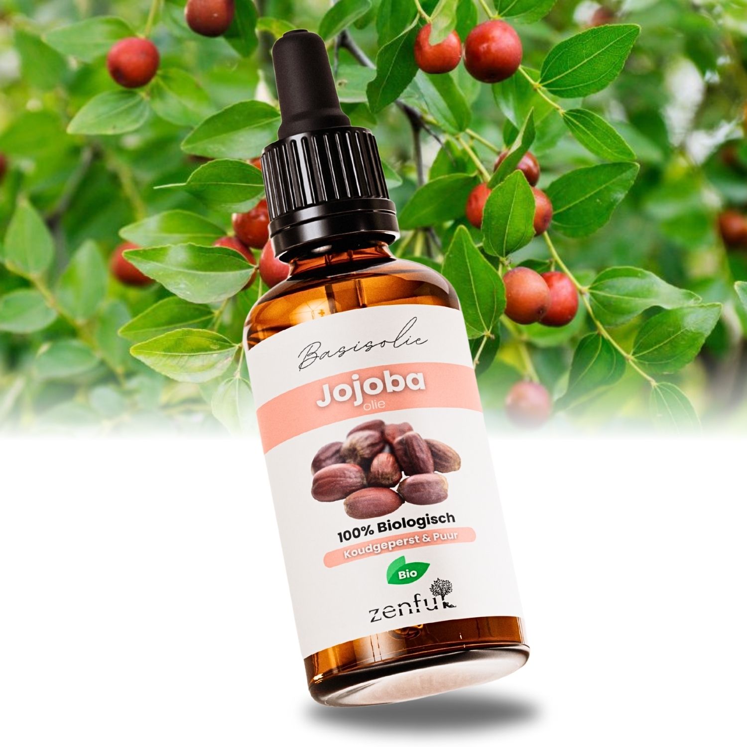 Jojoba olie - Haar & gezicht - Biologisch, Puur & Koudgeperst
