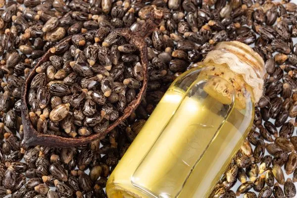Allemaal zwarte castor bonen voor gezondheid