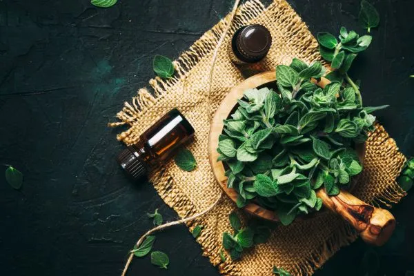 Benodigdheden om oregano oil zelf te maken