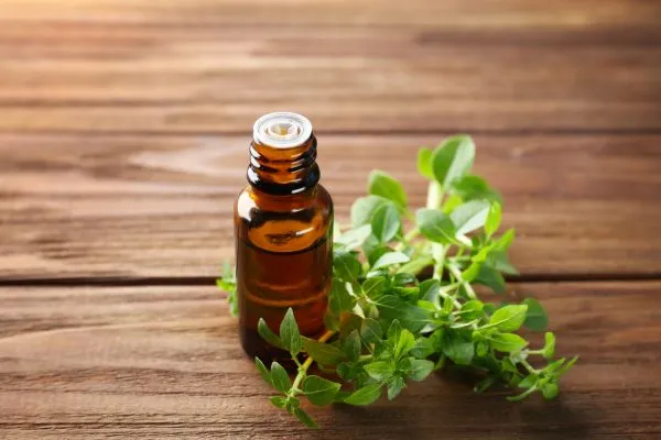 Flesje oregano oil met plant