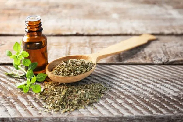 Oregano-olie-bijwerkingen Oregano olie bijwerkingen
