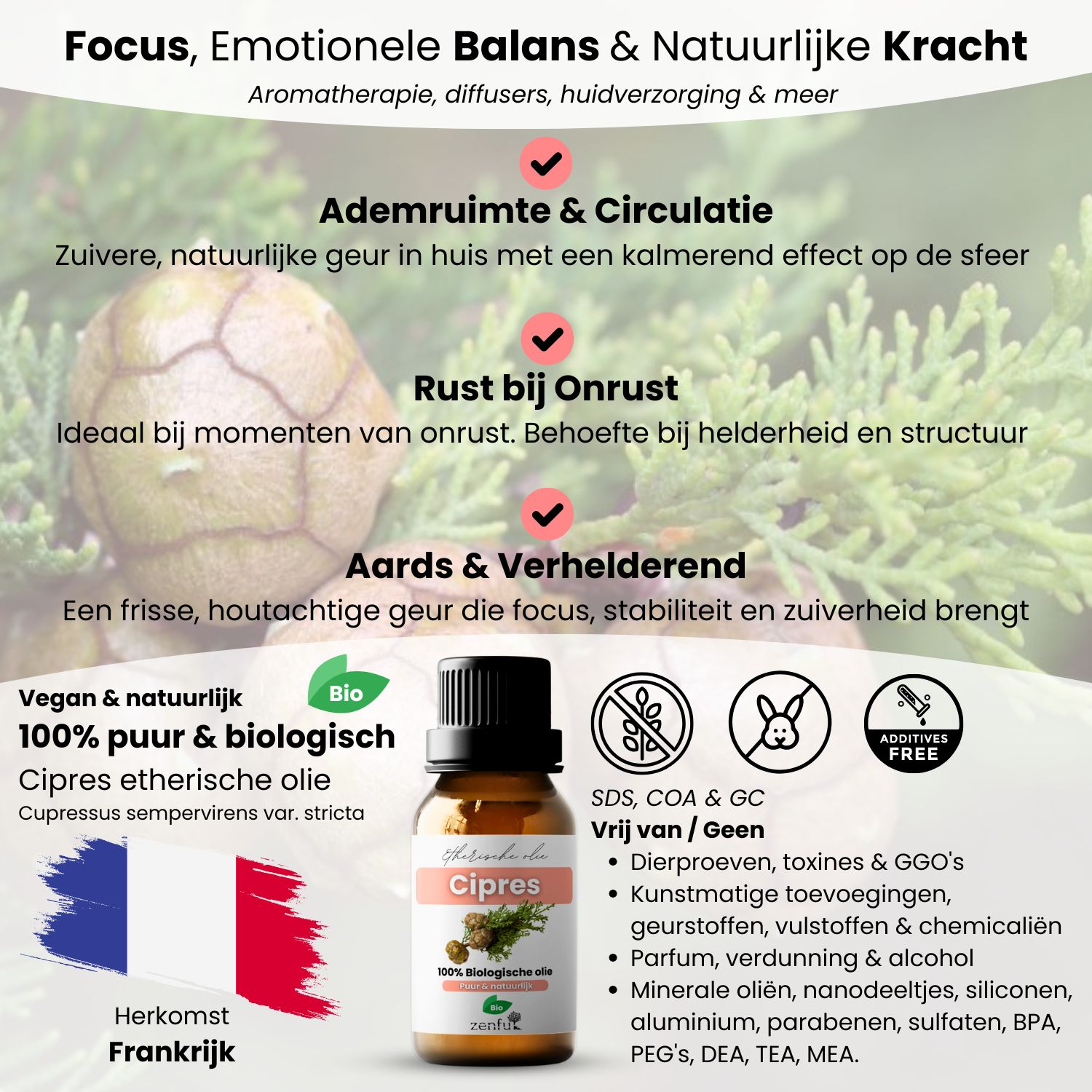 Cipres etherische olie informatie aromatherapie cypres