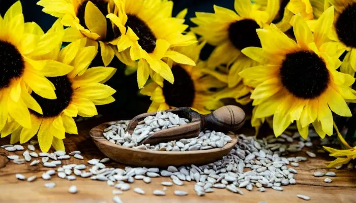 Gele bloemen met bakje zwart zaad