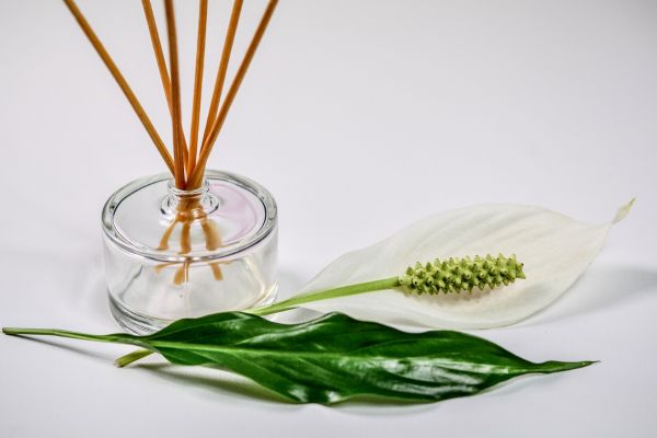 Groene-blaadjes-met-stokjes-in-een-glazen-potje Groene blaadjes met stokjes in een glazen potje