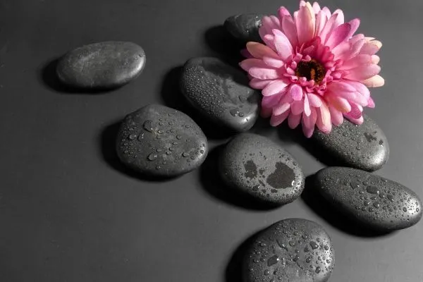 stenen en bloem voor in sauna en massages